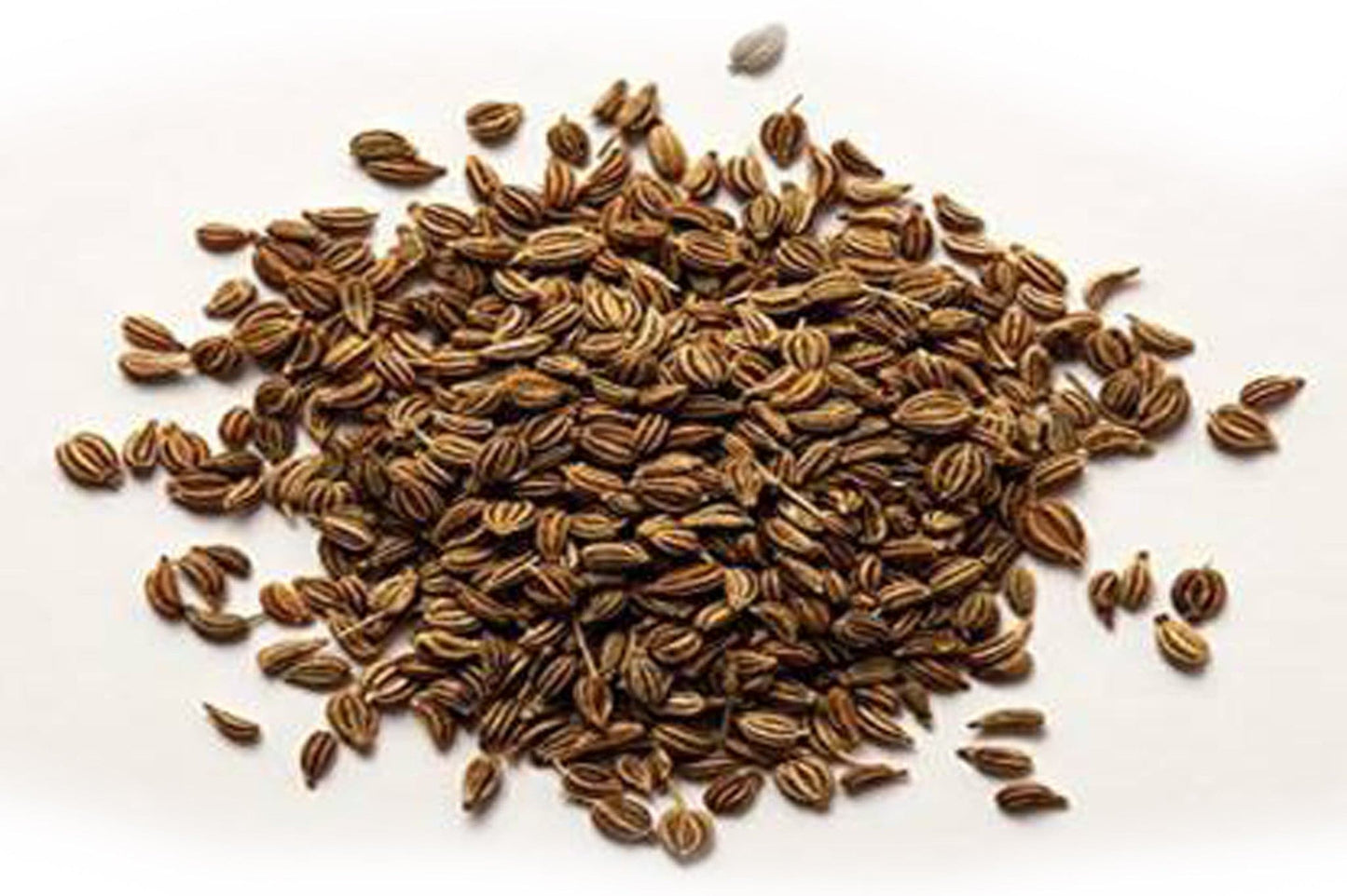 Ajwain Whole (Vaamu) (7052779454651)