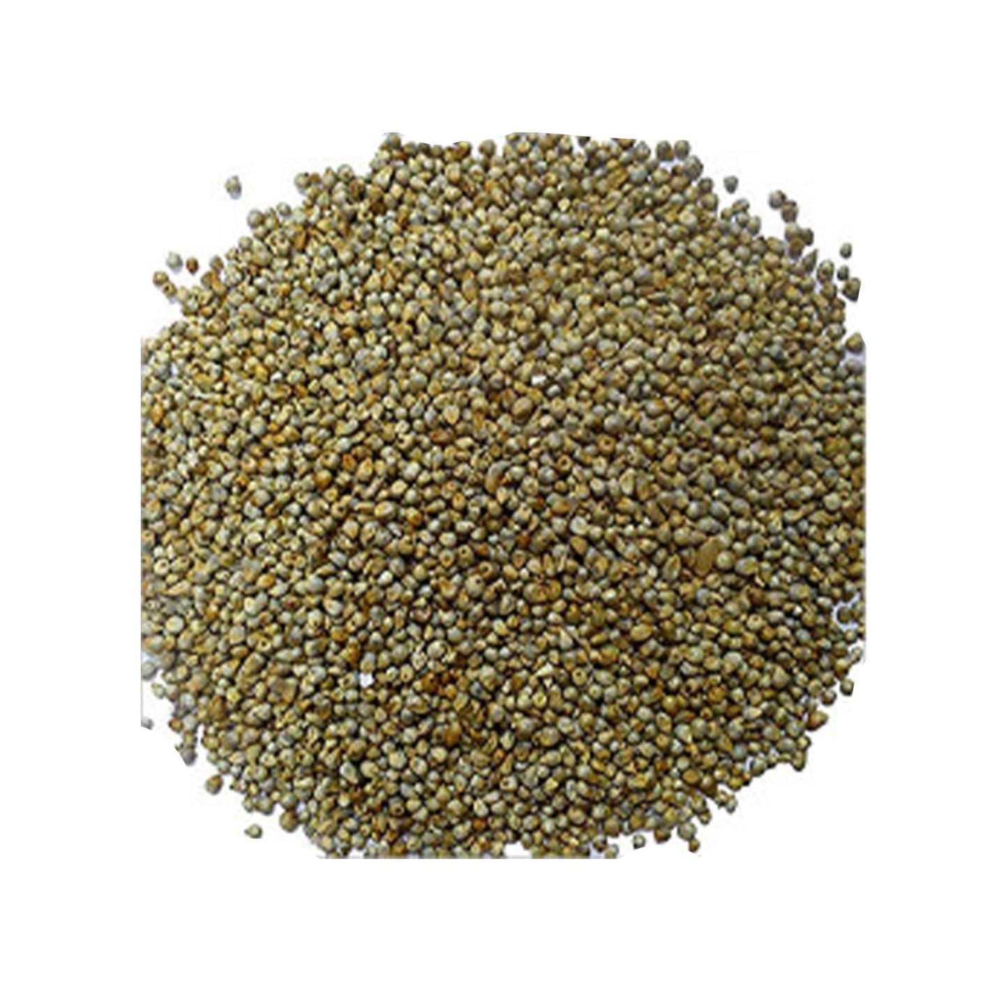 Bajra (Sajjalu) (7052776865979)