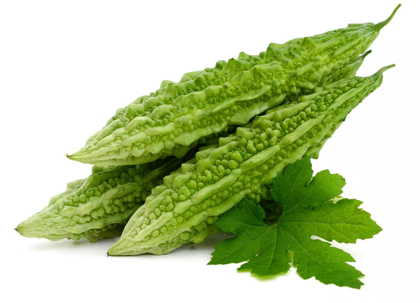 Bitter Gourd (7036975972539)