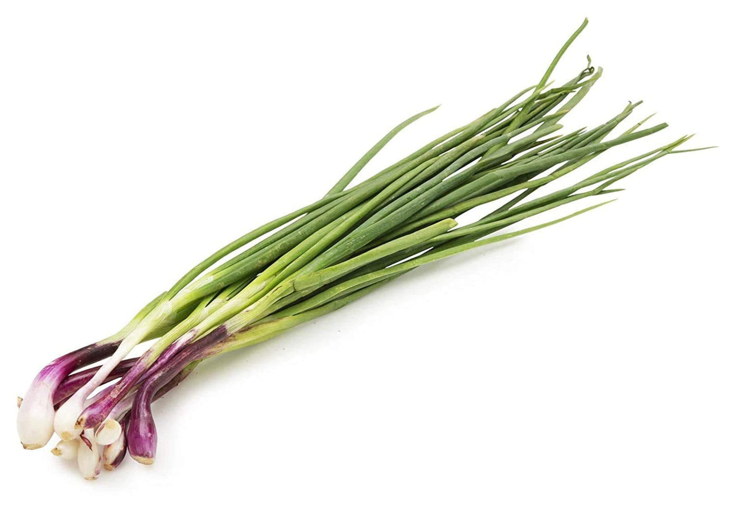 Spring Onion (7036977774779)