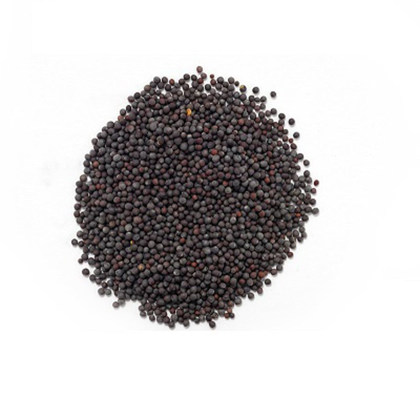 Mustard Seeds ( Avaalu Big) (7052779946171)