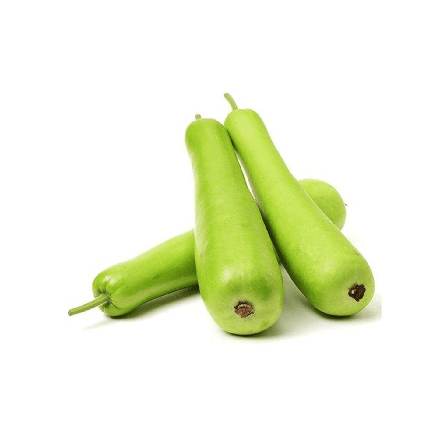 Bottle Gourd / Sorakaya.