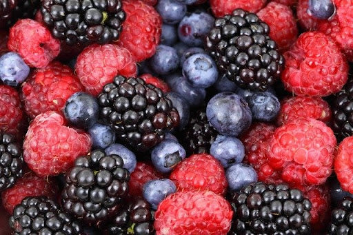 5 Important Things you must know Why Berries are so healthy food on Earth