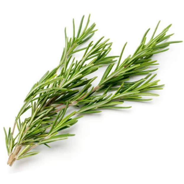 Rosemary