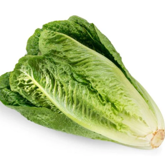 Romaine Lettuce