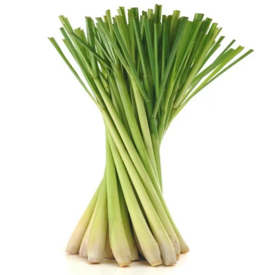 Lemon grass