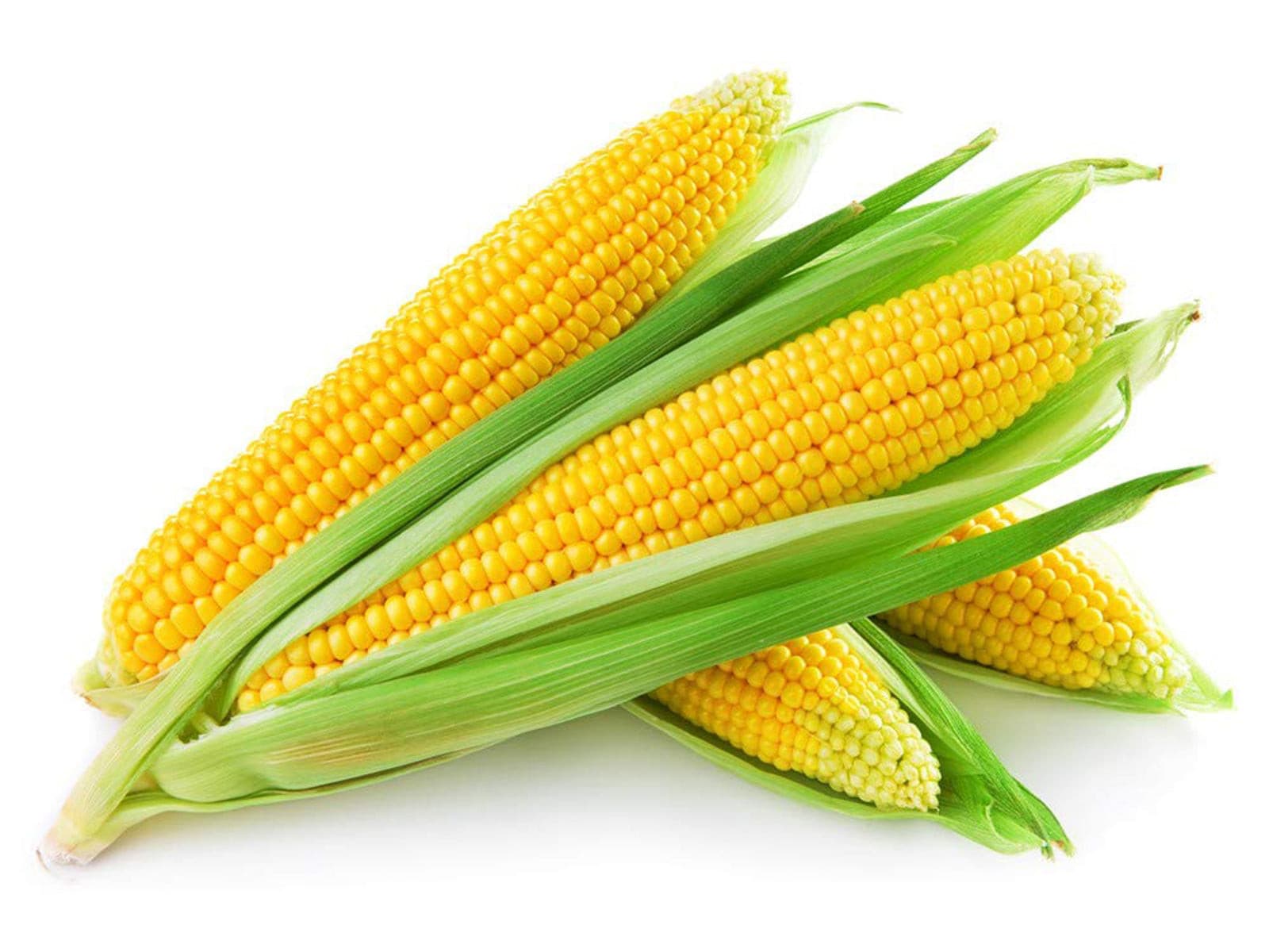 Sweet Corn (7036976824507)