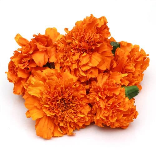 Marigold/Banthi puvvu- Orange.