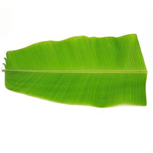 Arati Aaku / Aritaaku / Banana leaf