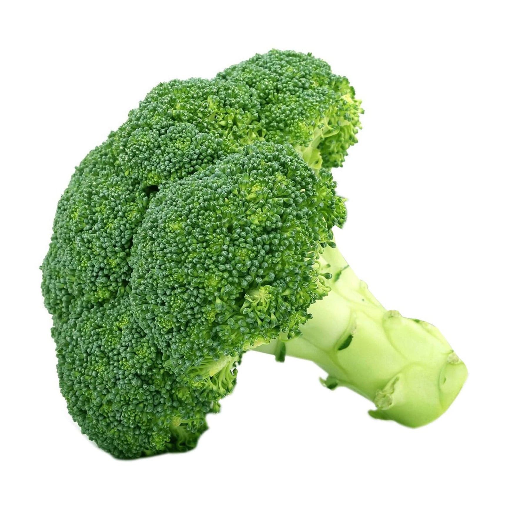 Broccoli (7036977938619)
