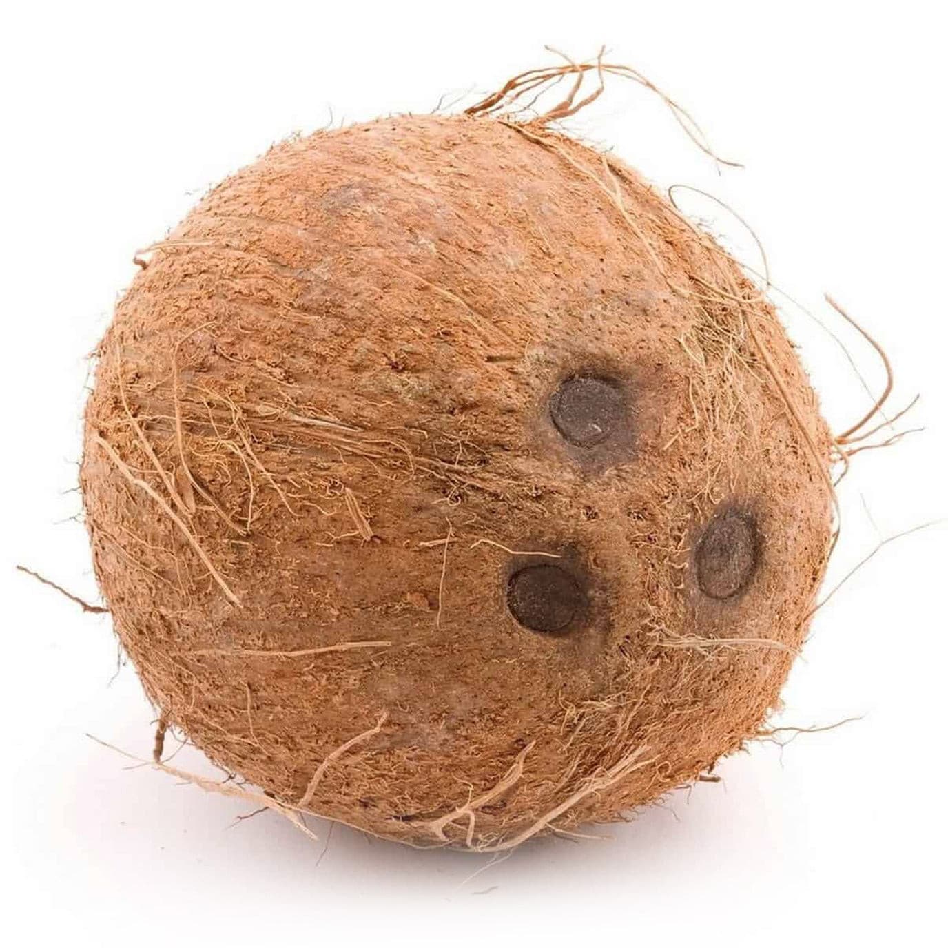 Coconut (7036976398523)