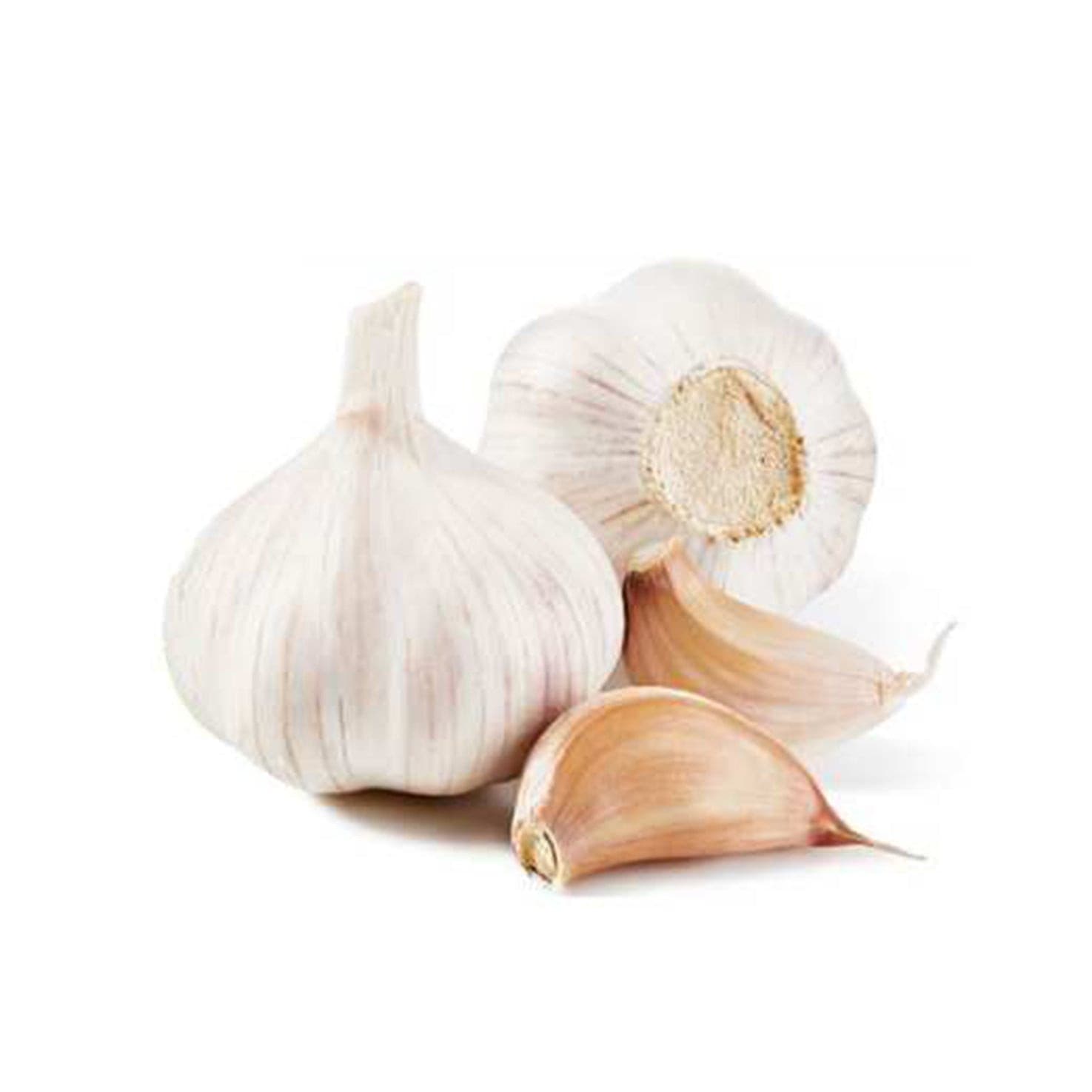 Garlic (7036976562363)