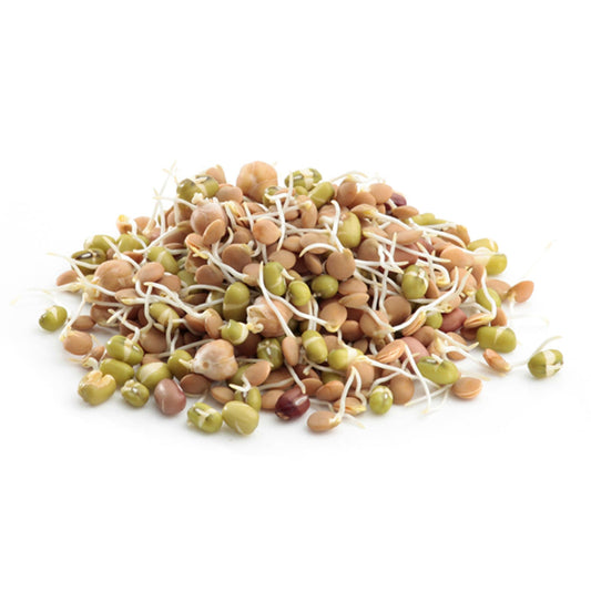Mixed Sprouts (7036977250491)