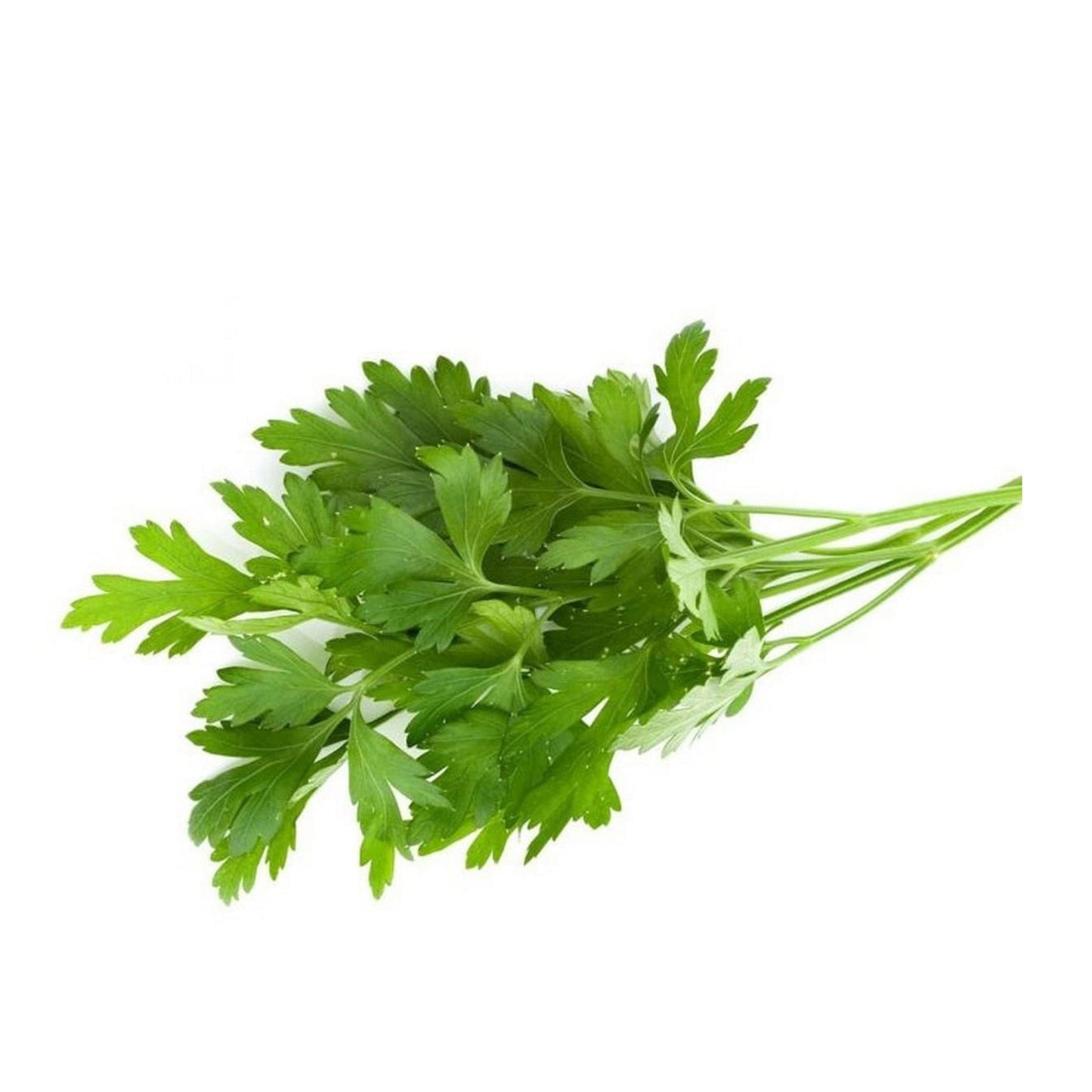 Parsley (7036978200763)