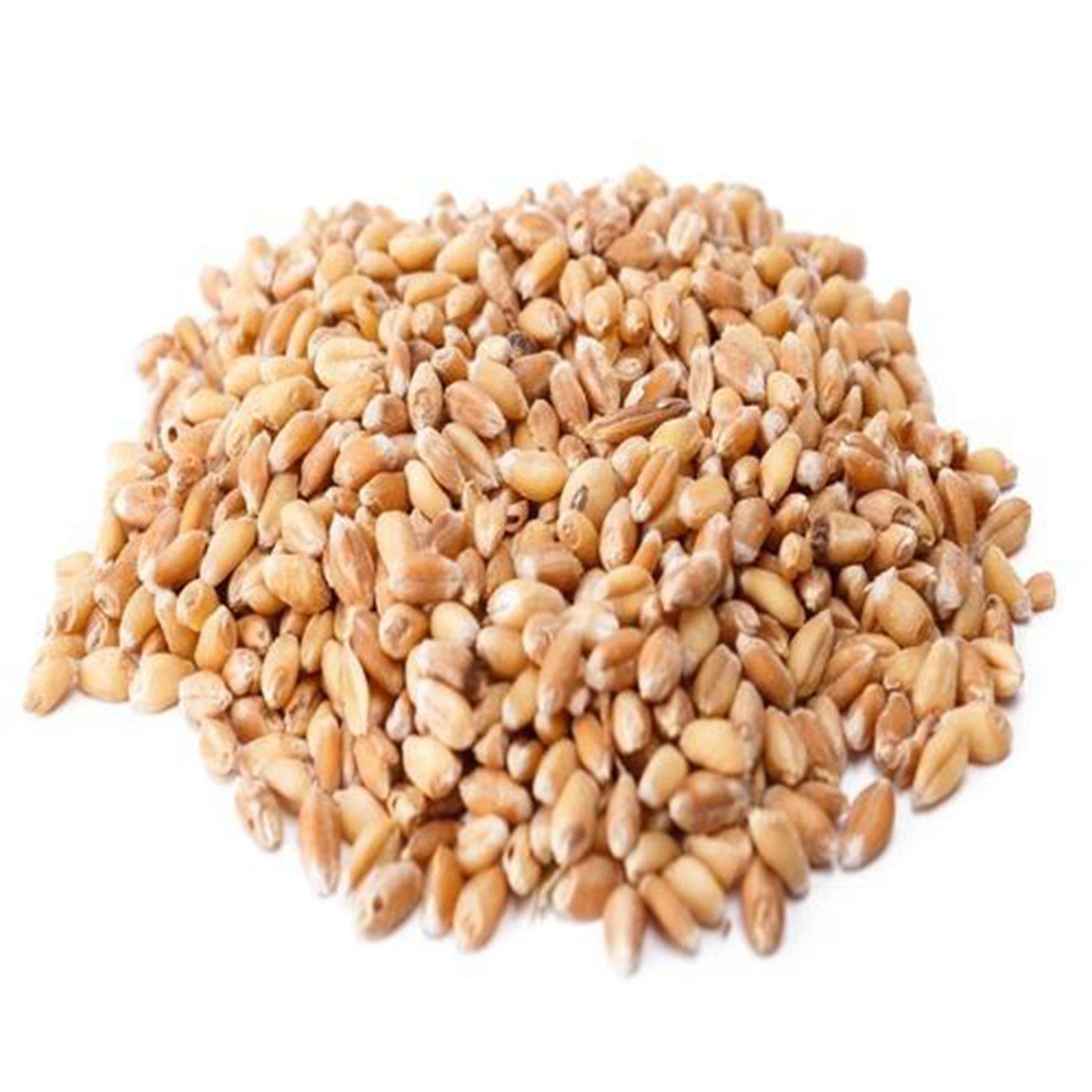 Wheat (Godumalu) (7052777128123)