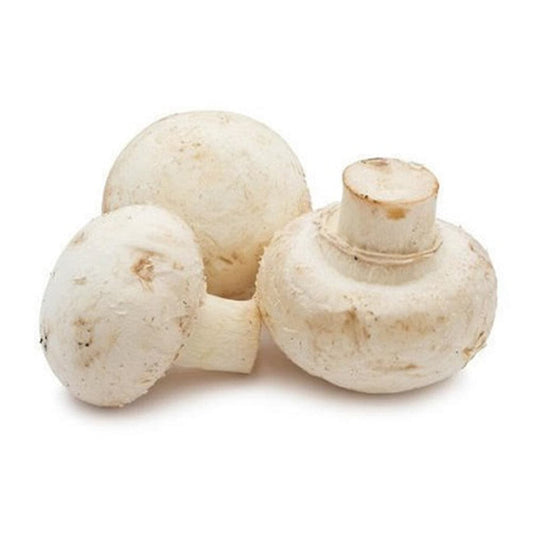 Mushroom (Button) (7036978102459)