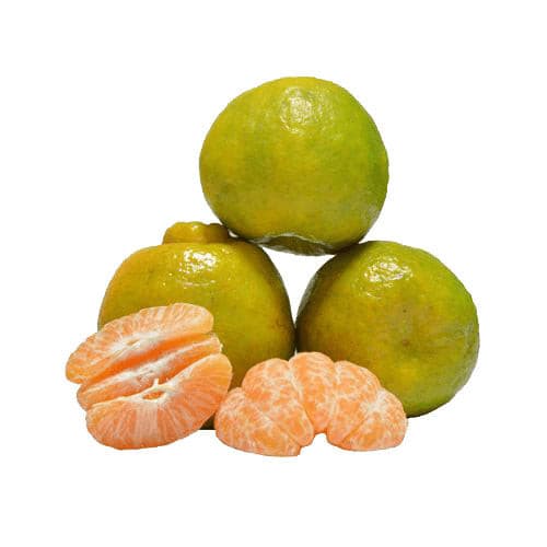 Oranges - Nagpur.